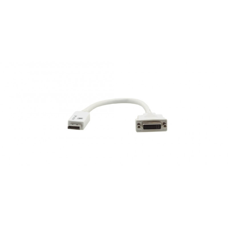 Câble Adaptateur DisplayPort (M) vers DVI–I (F)