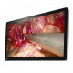 EX3220-3D ECRAN EIZO LCD Medical Monitor 32" 3D FullHD